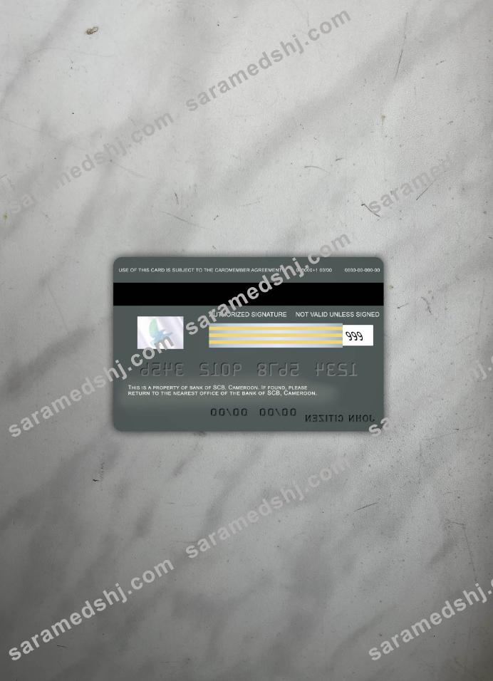 Cameroon SCB bank visa card photolook back